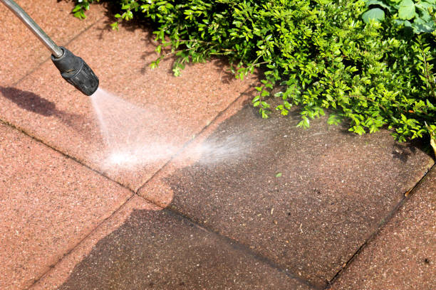 Best Residential Pressure Washing in Atlantis, FL